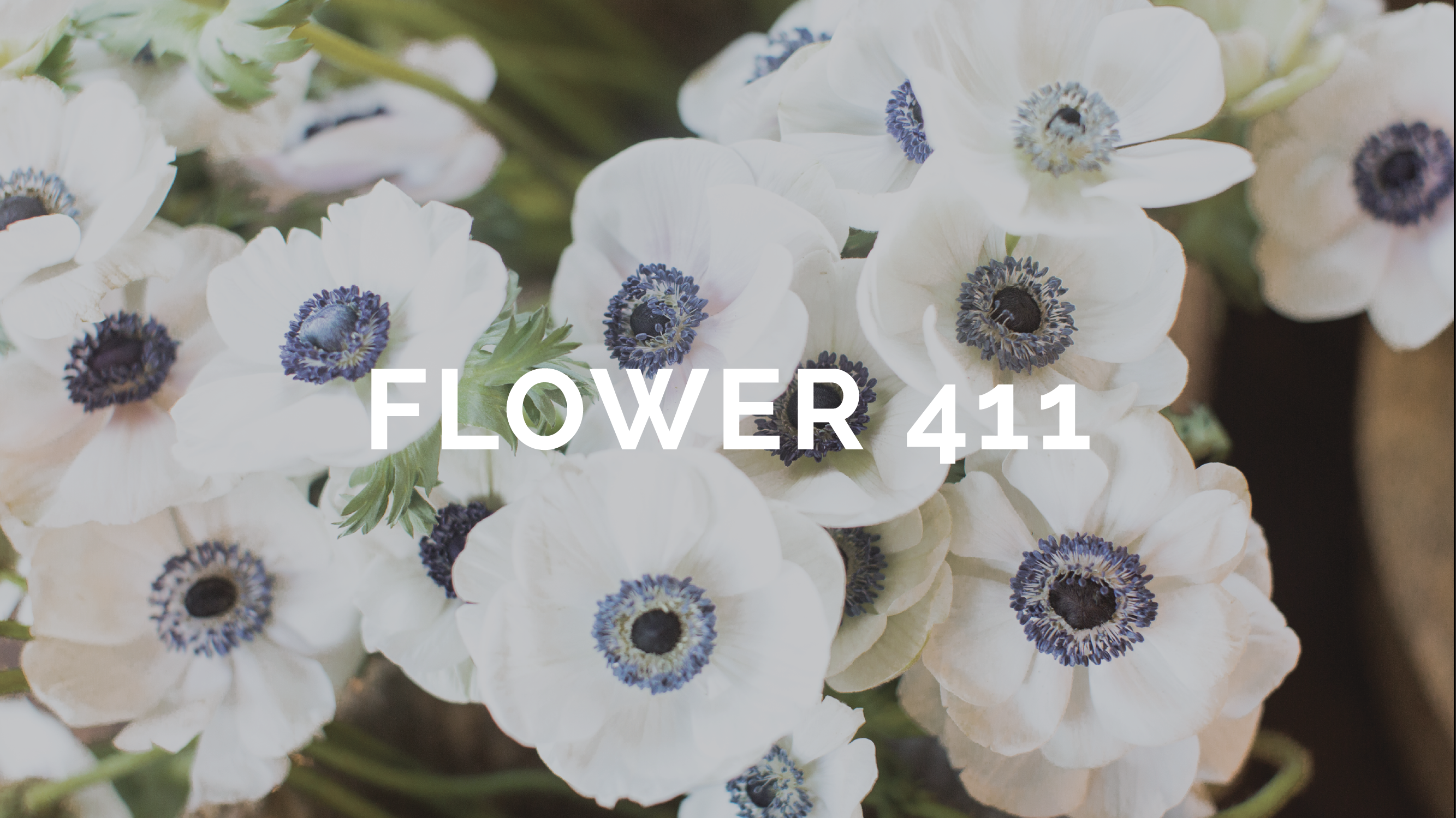 Flower 411: March 2020