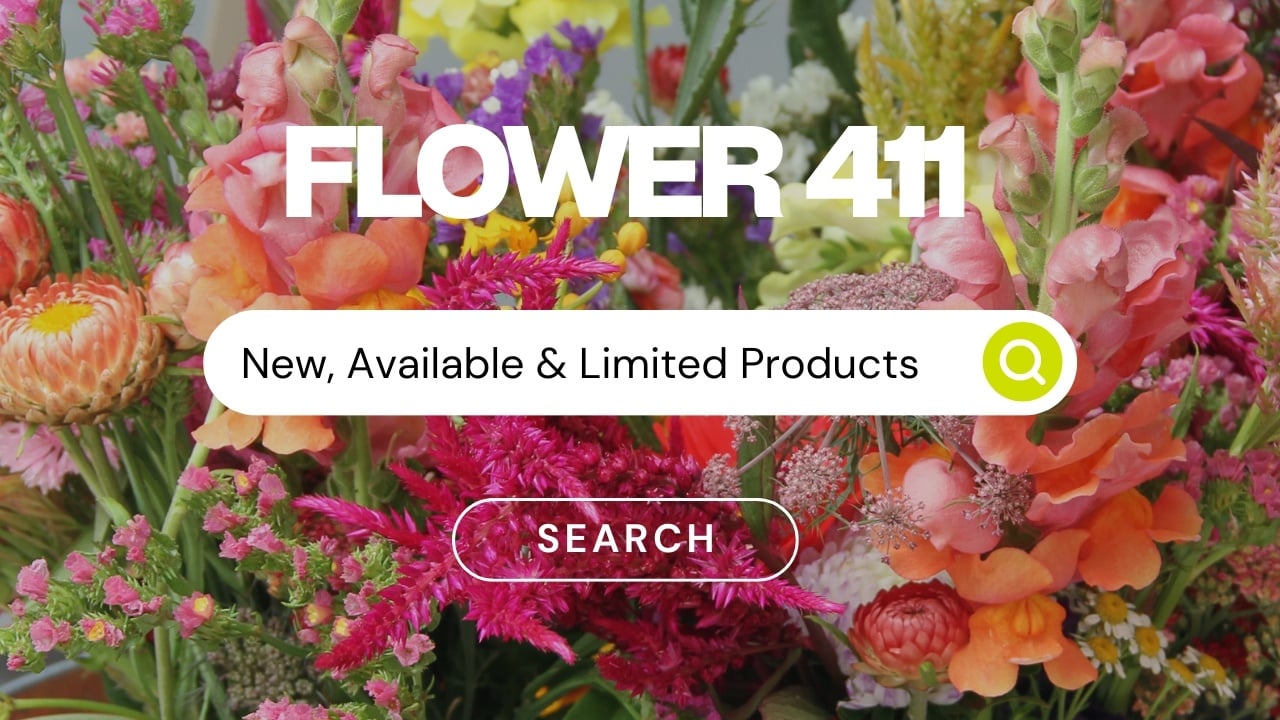 Flower Purchasing & Supply Chain Update